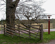 P5040076.jpg